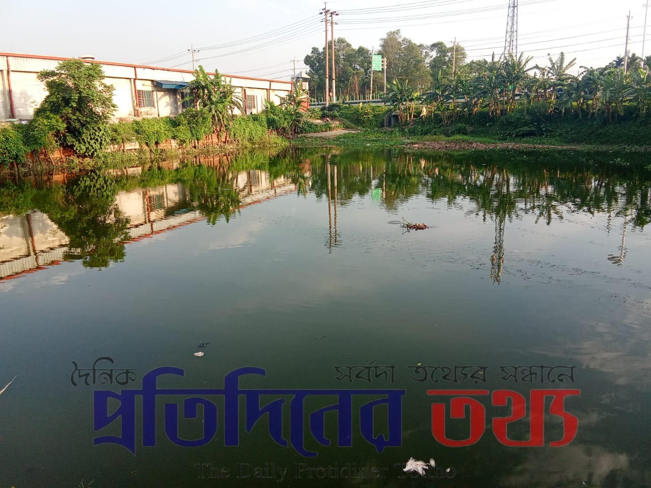 সরকারি পুকুর থেকে মাছ চুরির ভিডিও ভাইরাল