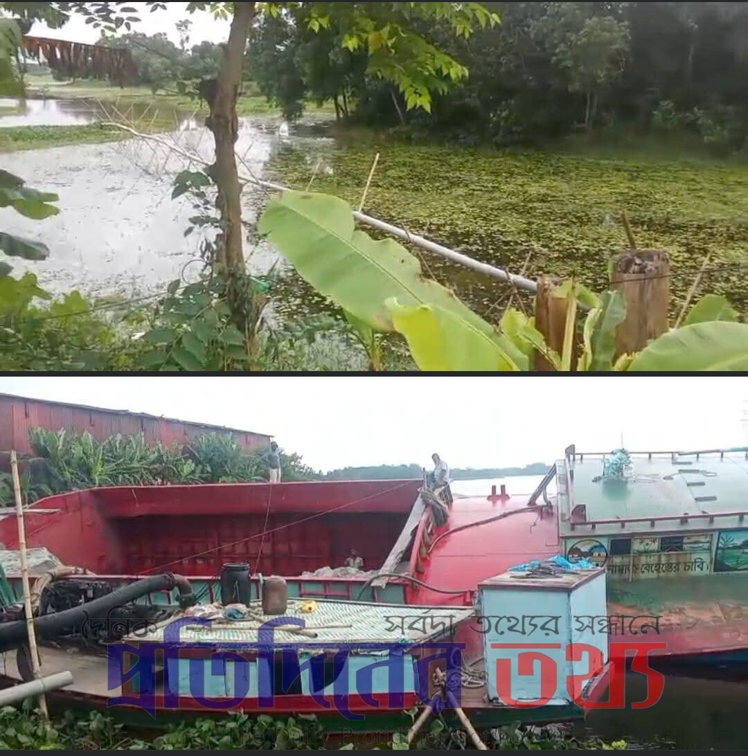 কৃষি জমি, জলাশয় ও পুকুর গিলে খাচ্ছে অবৈধ ব্যবসায়ীরা